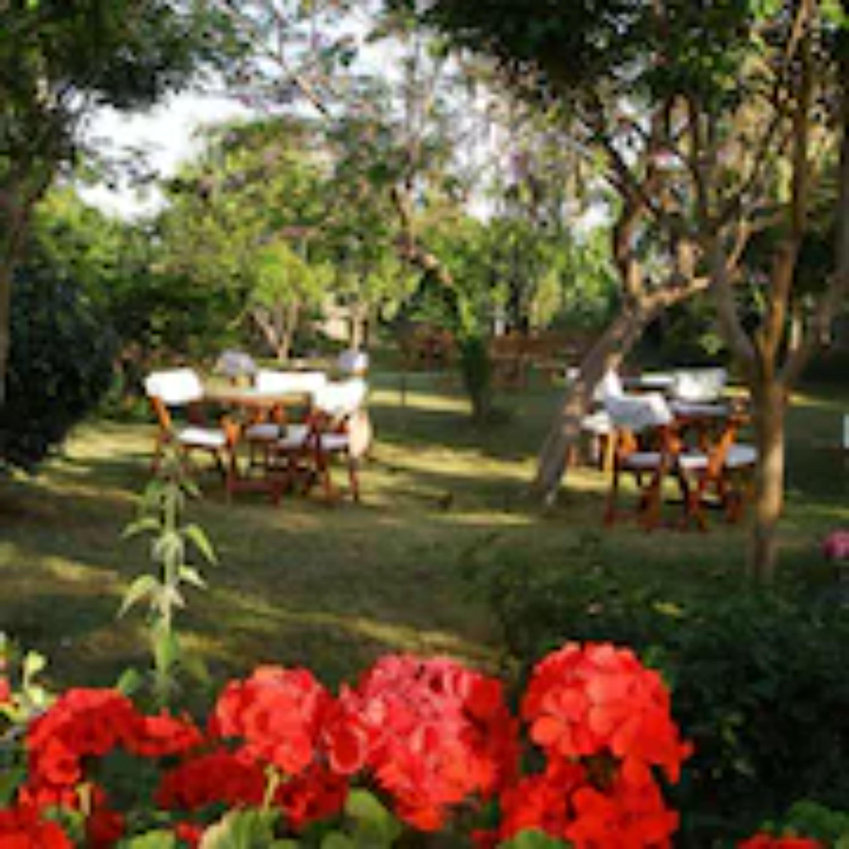 Sevkibey Hotel Alanya Buitenkant foto