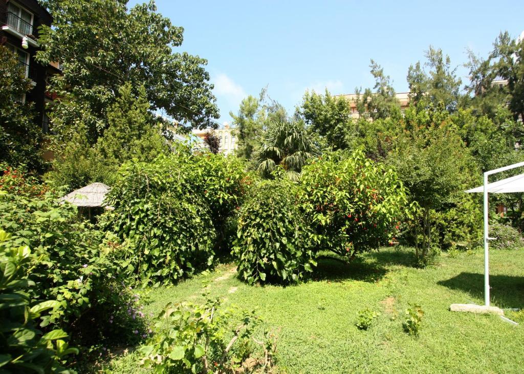 Sevkibey Hotel Alanya Buitenkant foto