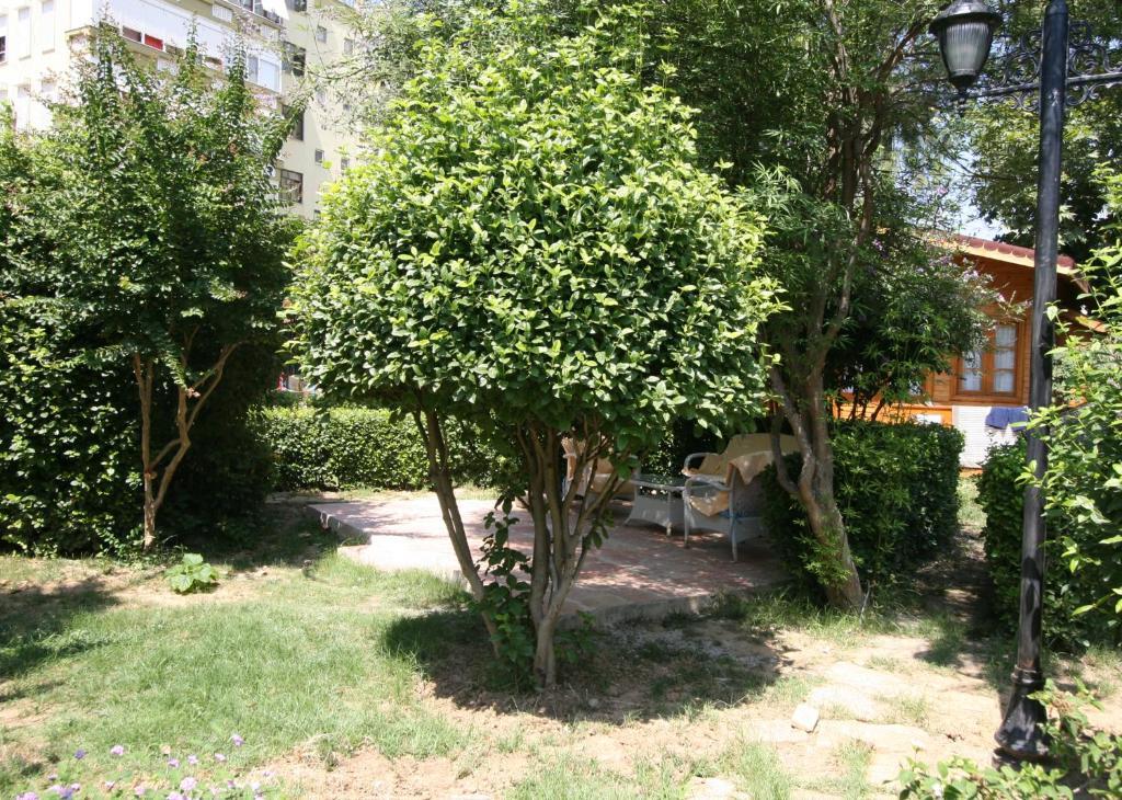 Sevkibey Hotel Alanya Buitenkant foto