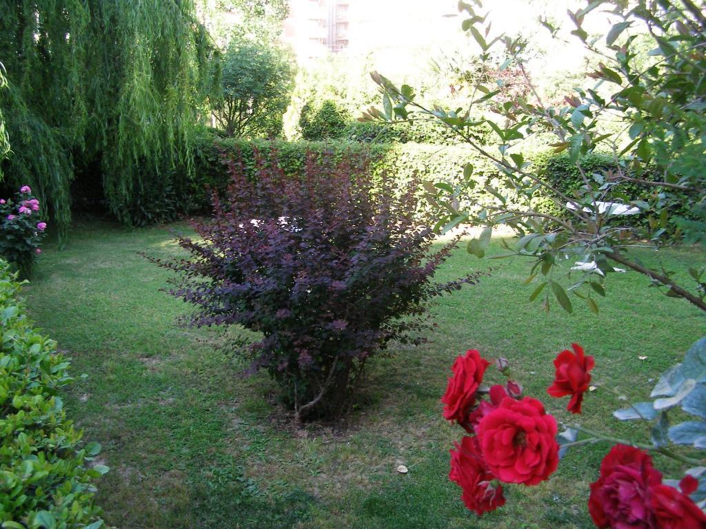 Sevkibey Hotel Alanya Buitenkant foto