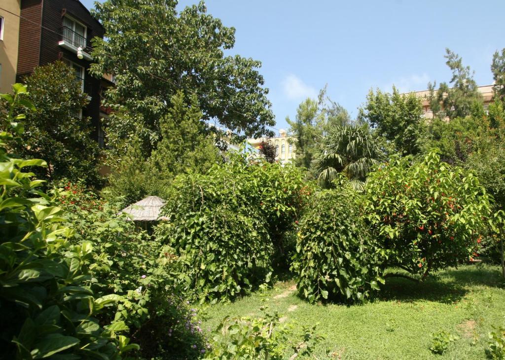 Sevkibey Hotel Alanya Buitenkant foto