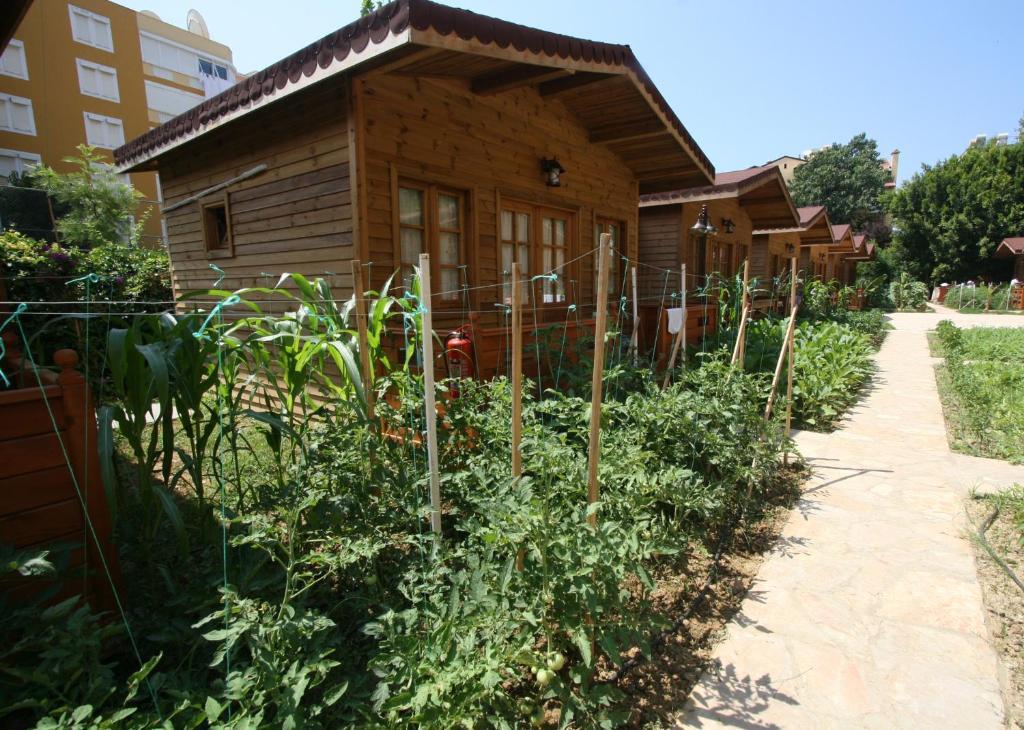 Sevkibey Hotel Alanya Buitenkant foto